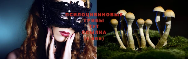 трава Абинск