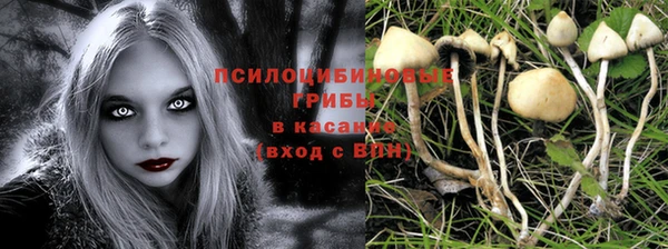 трава Абинск