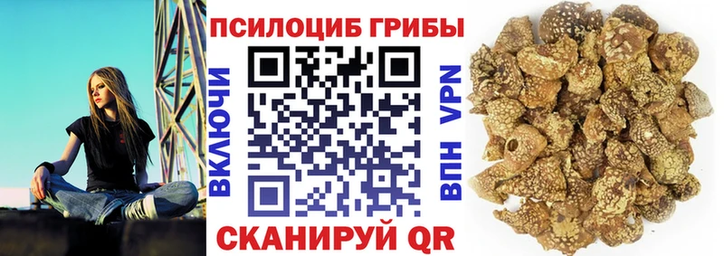 ссылка на мегу вход  Шали  Псилоцибиновые грибы Magic Shrooms 