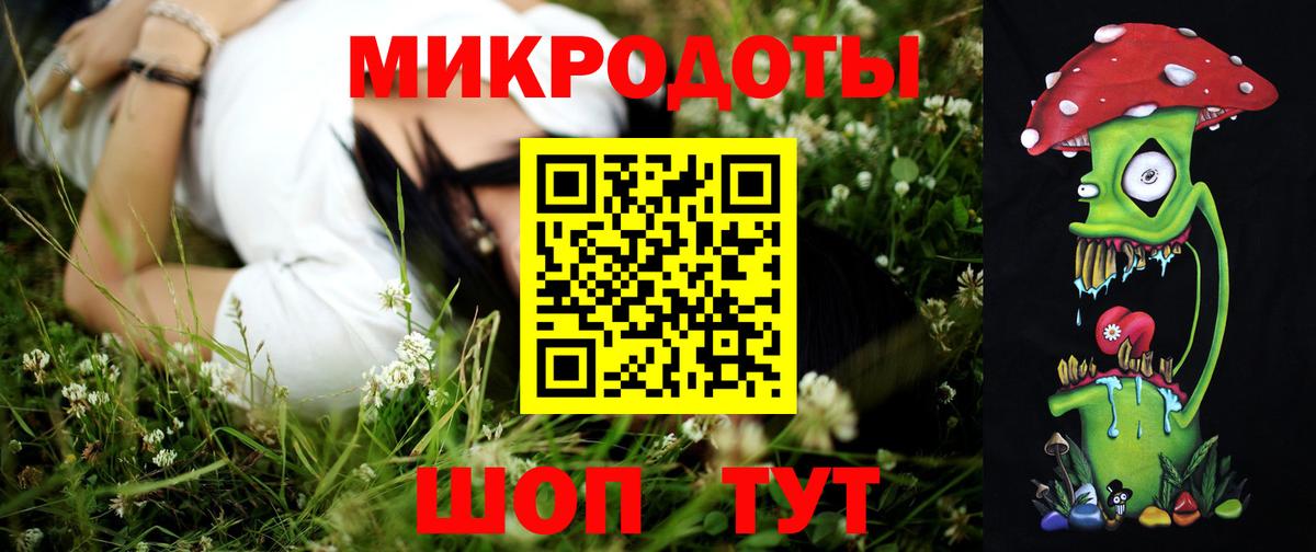 Шали  Галлюциногенные грибы Psilocybine cubensis  Вход с VPN 